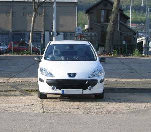 z 307 85